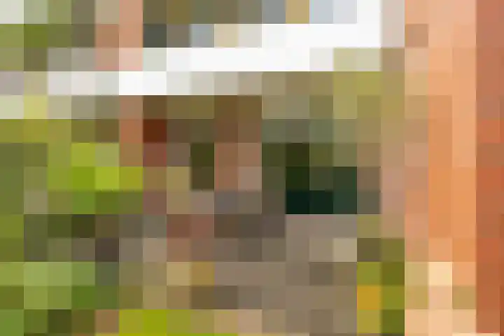 Van Swinderenstraat 23 Groningen thumbnail 6