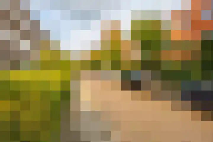 Van Swinderenstraat 23 Groningen thumbnail 8