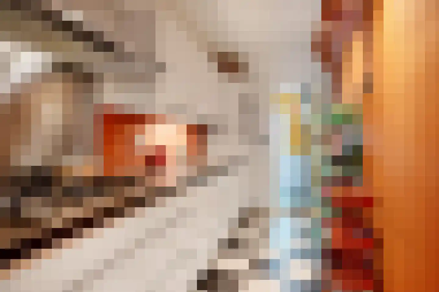 Van Swinderenstraat 34 Groningen thumbnail 16