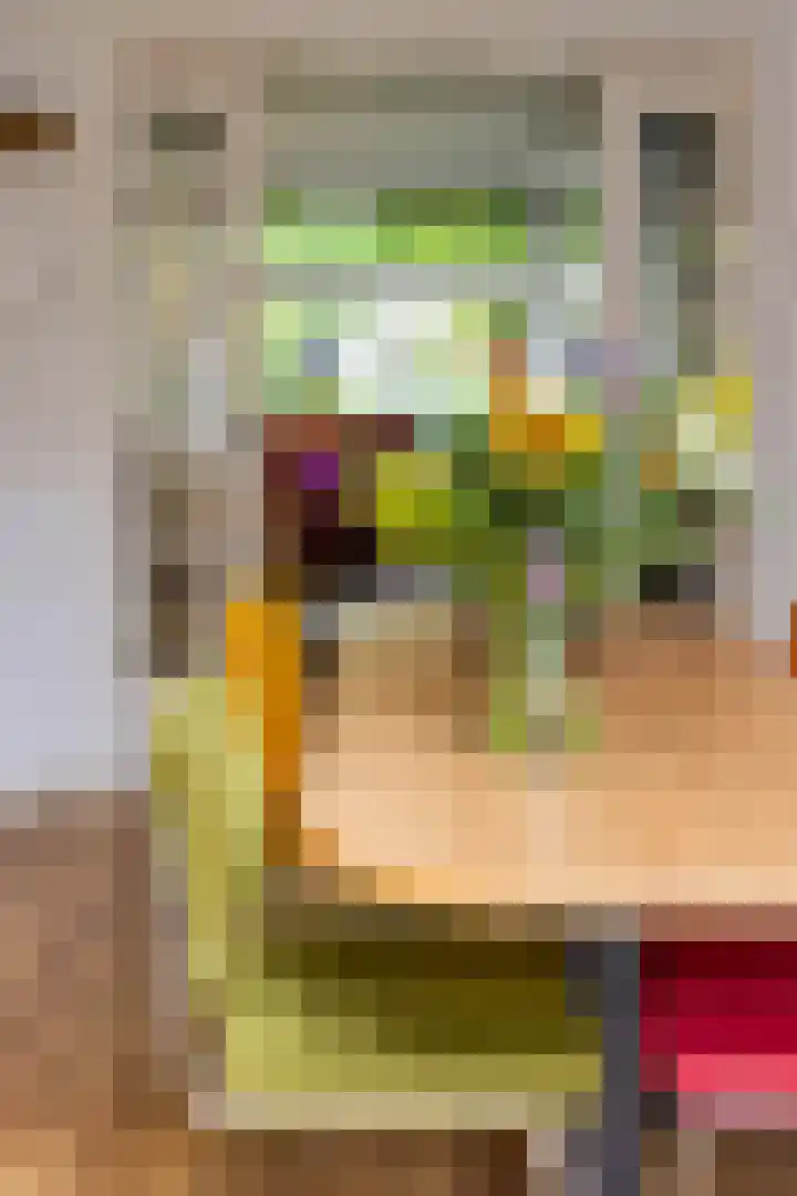 Van Swinderenstraat 38 Groningen thumbnail 18