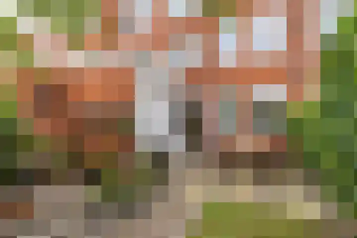 Van Swinderenstraat 38 Groningen thumbnail 30