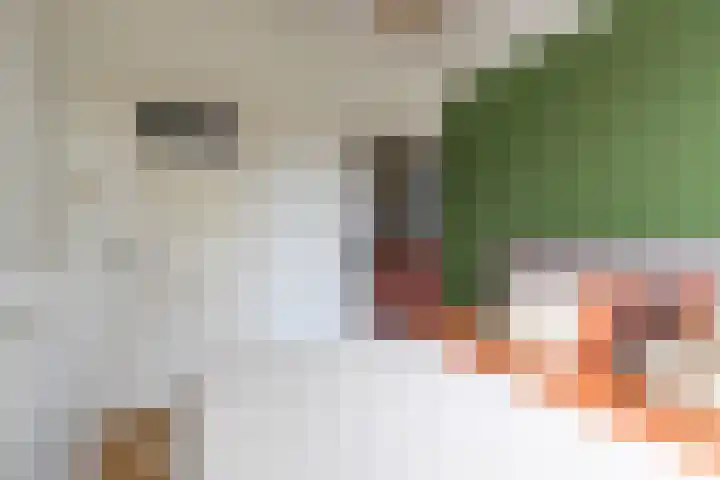 Van Swinderenstraat 38 Groningen thumbnail 34