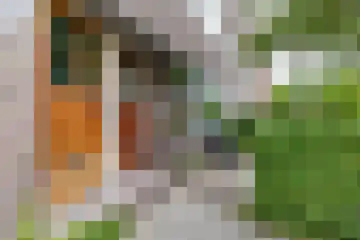 Van Swinderenstraat 38 Groningen thumbnail 5