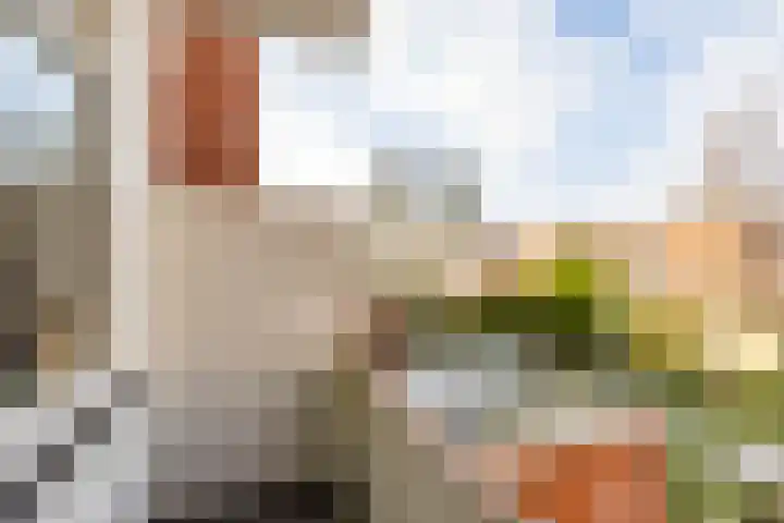 Van Swinderenstraat 44 a Groningen thumbnail 22