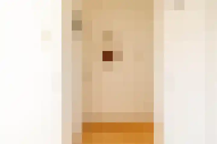 Van Swinderenstraat 44 a Groningen thumbnail 8
