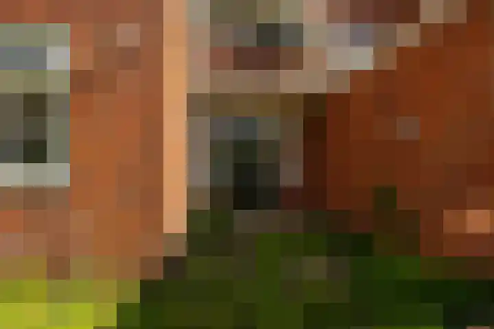 Van Swinderenstraat 44 Groningen thumbnail 17