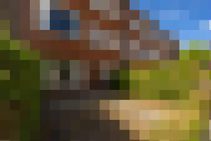 Van Swinderenstraat 44 Groningen thumbnail 8
