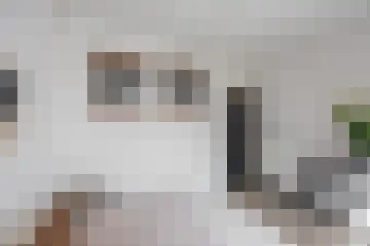 Van Swinderenstraat 5 Groningen thumbnail 10