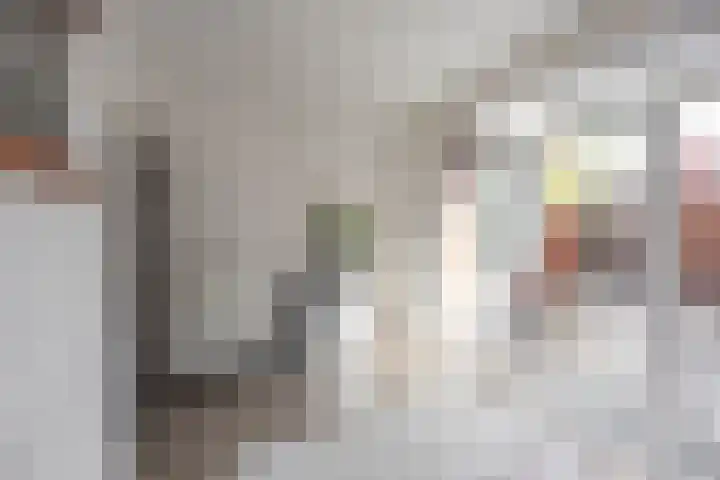 Van Swinderenstraat 5 Groningen thumbnail 11