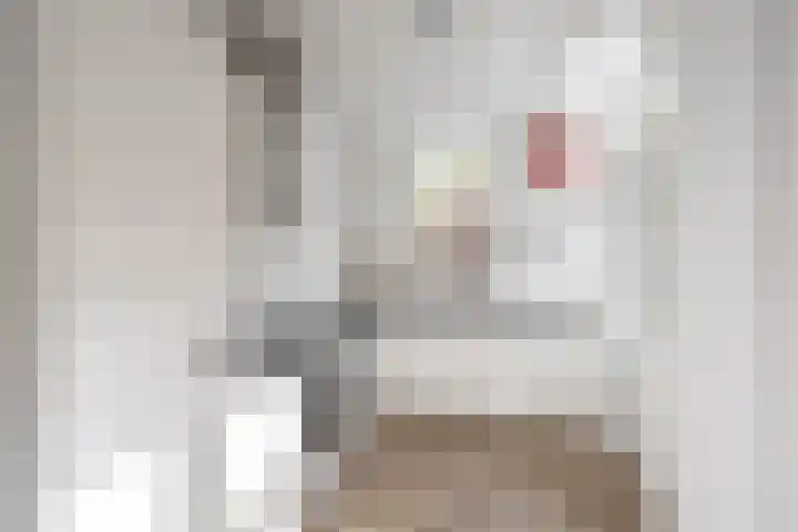 Van Swinderenstraat 5 Groningen thumbnail 13
