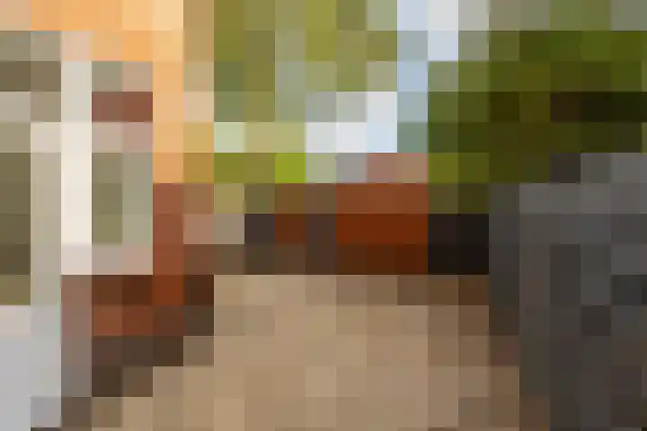 Van Swinderenstraat 5 Groningen thumbnail 16