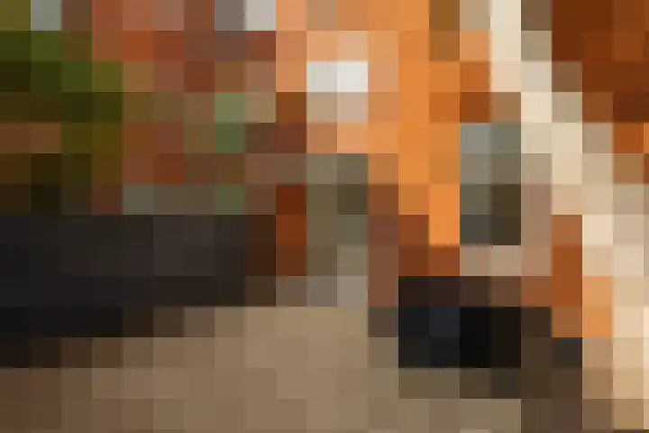Van Swinderenstraat 5 Groningen thumbnail 19
