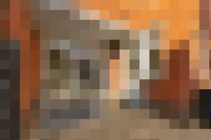 Van Swinderenstraat 5 Groningen thumbnail 20