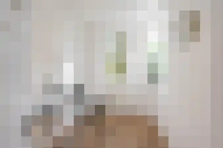 Van Swinderenstraat 5 Groningen thumbnail 27