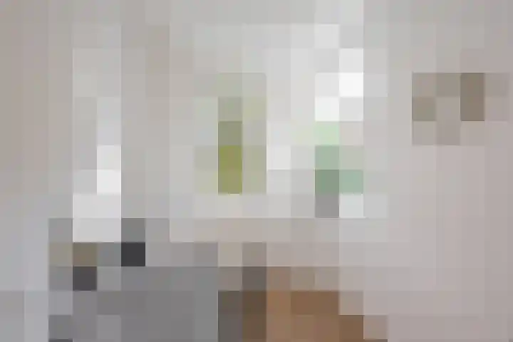 Van Swinderenstraat 5 Groningen thumbnail 28