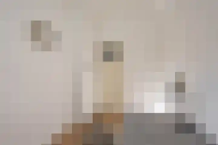 Van Swinderenstraat 5 Groningen thumbnail 29