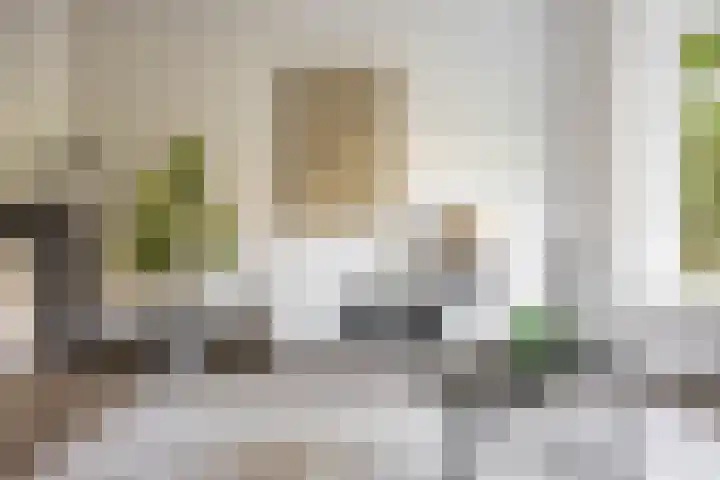 Van Swinderenstraat 5 Groningen thumbnail 4