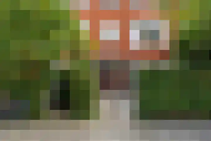 Van Swinderenstraat 5 Groningen thumbnail 42