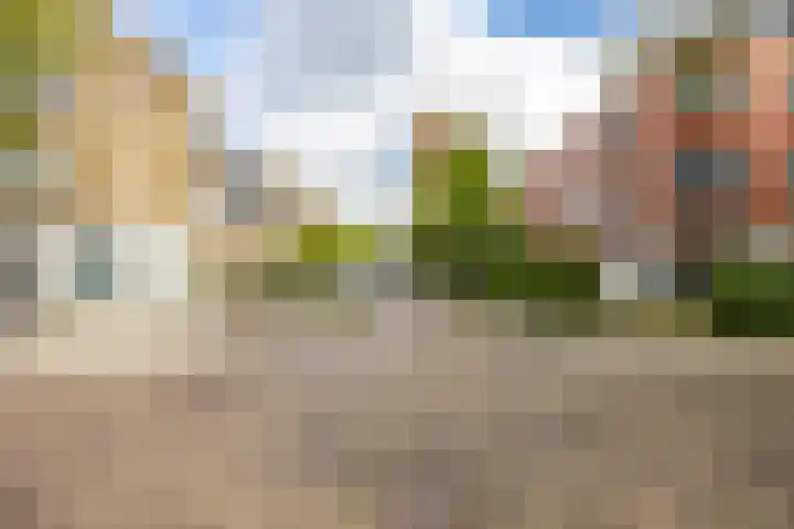 Van Swinderenstraat 5 Groningen thumbnail 46