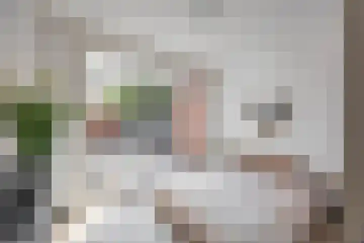 Van Swinderenstraat 5 Groningen thumbnail 7