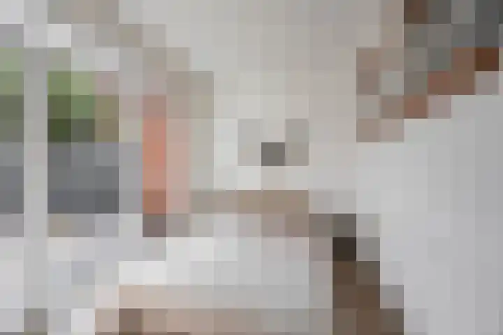 Van Swinderenstraat 5 Groningen thumbnail 8