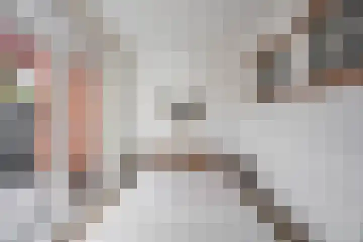 Van Swinderenstraat 5 Groningen thumbnail 9