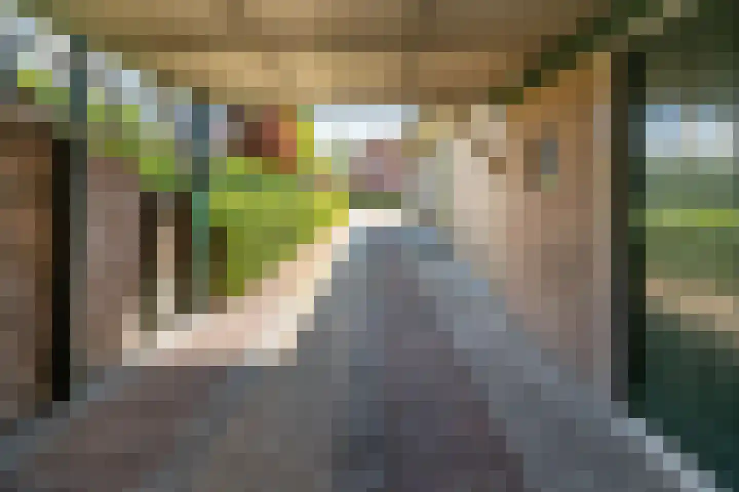 van Sytzamalaan 20 Oldebroek thumbnail 10