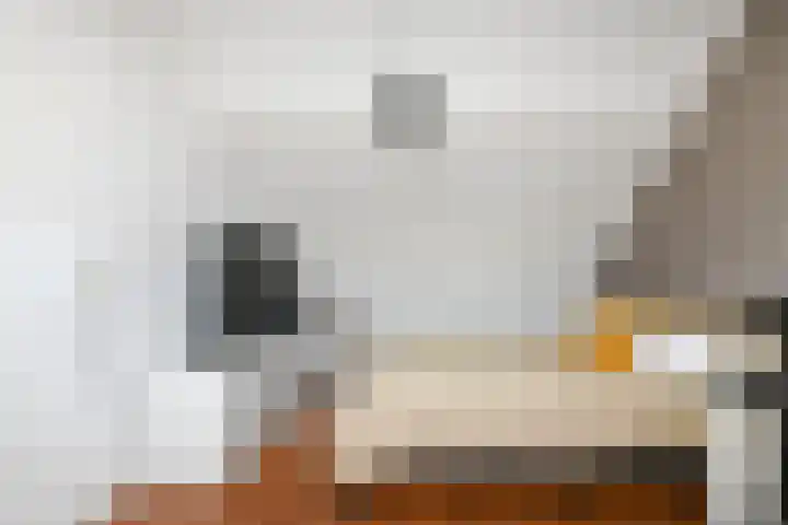 Van Sytzamastraat 21 Amersfoort thumbnail 20