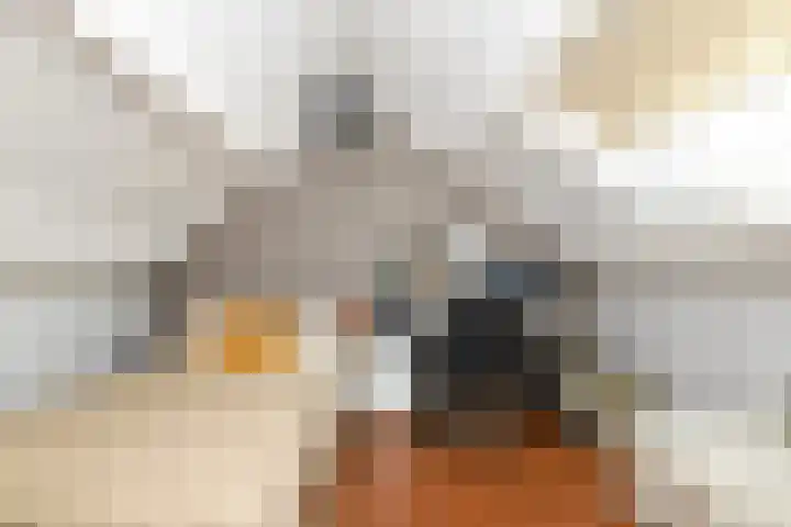 Van Sytzamastraat 21 Amersfoort thumbnail 21
