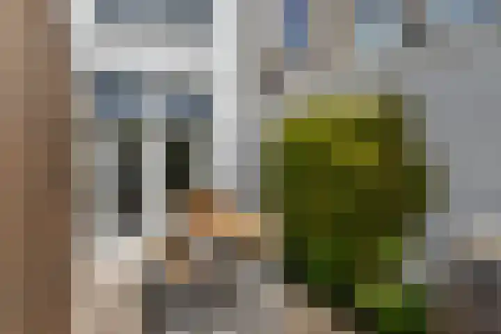 van Sytzamastraat 28 Leeuwarden thumbnail 62