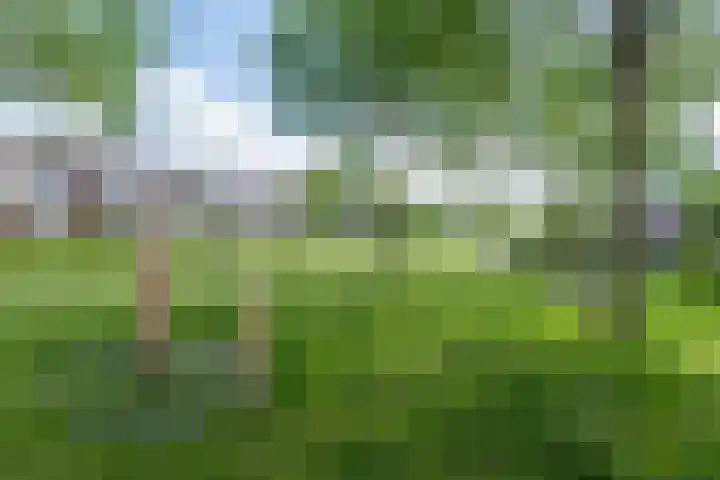 van Sytzamastraat 28 Leeuwarden thumbnail 66