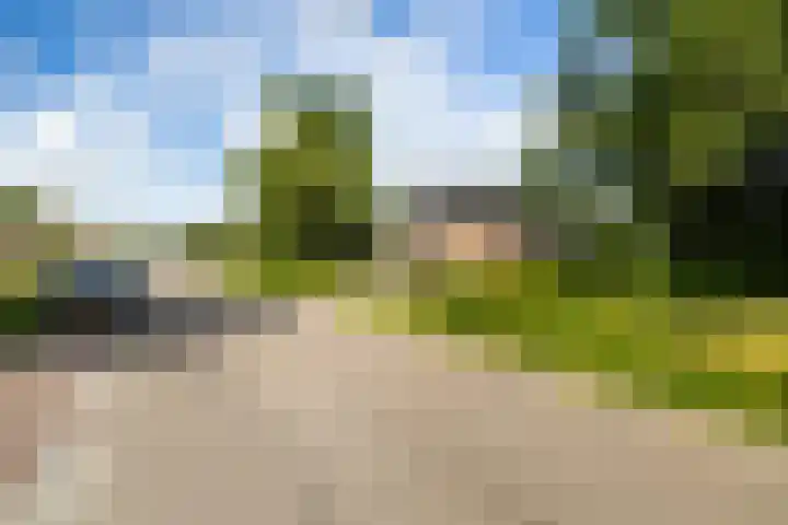 Van Sytzamawei 29 Driezum thumbnail 10