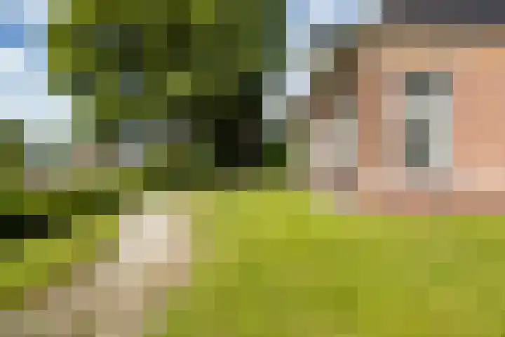 Van Sytzamawei 29 Driezum thumbnail 11