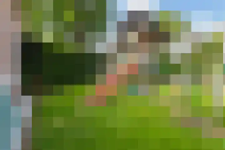 Van Sytzamawei 29 Driezum thumbnail 14