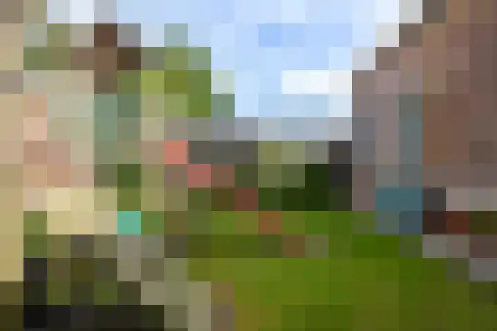Van Sytzamawei 29 Driezum thumbnail 16