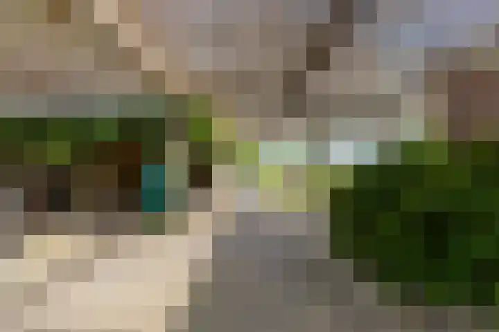 Van Sytzamawei 29 Driezum thumbnail 19