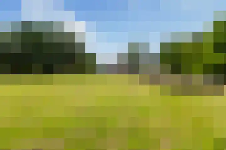 Van Sytzamawei 29 Driezum thumbnail 22