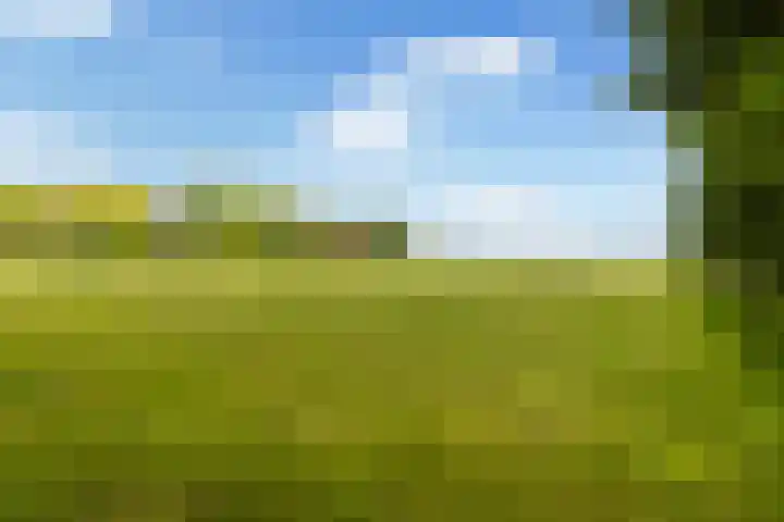Van Sytzamawei 29 Driezum thumbnail 24