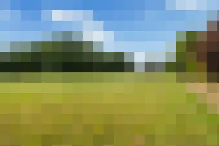 Van Sytzamawei 29 Driezum thumbnail 25