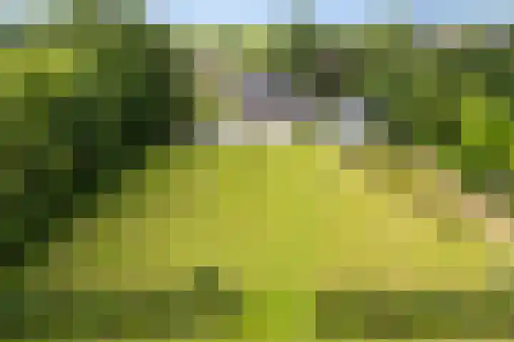 Van Sytzamawei 29 Driezum thumbnail 31