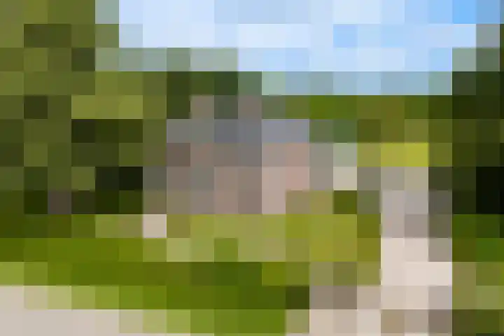 Van Sytzamawei 29 Driezum thumbnail 4