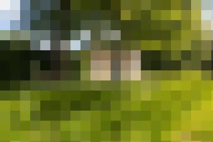 Van Sytzamawei 29 Driezum thumbnail 8
