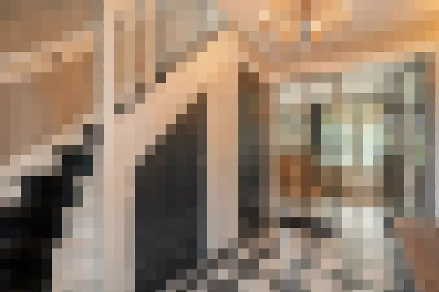 Van 't Hofflaan 10 Almelo thumbnail 19
