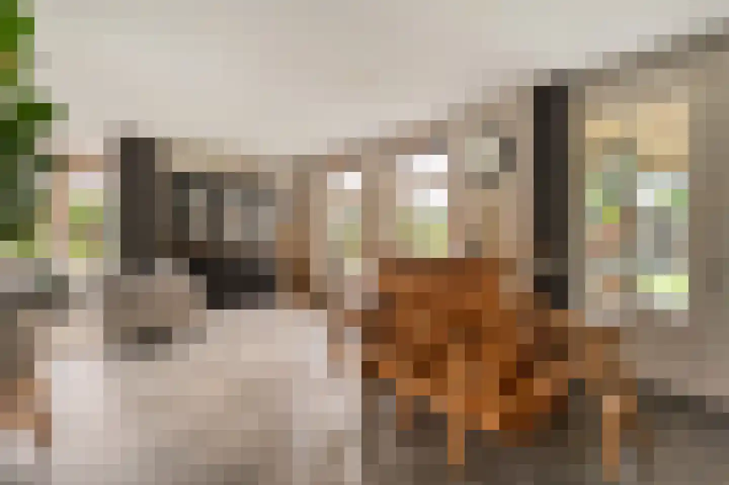 Van 't Hofflaan 10 Almelo thumbnail 21