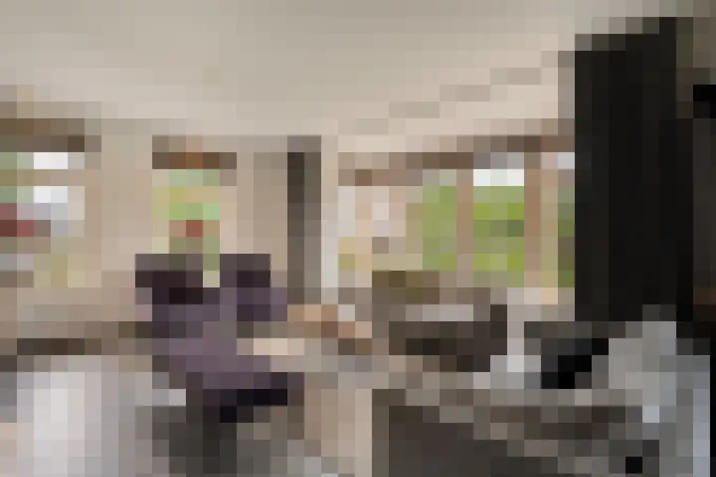 Van 't Hofflaan 10 Almelo thumbnail 23