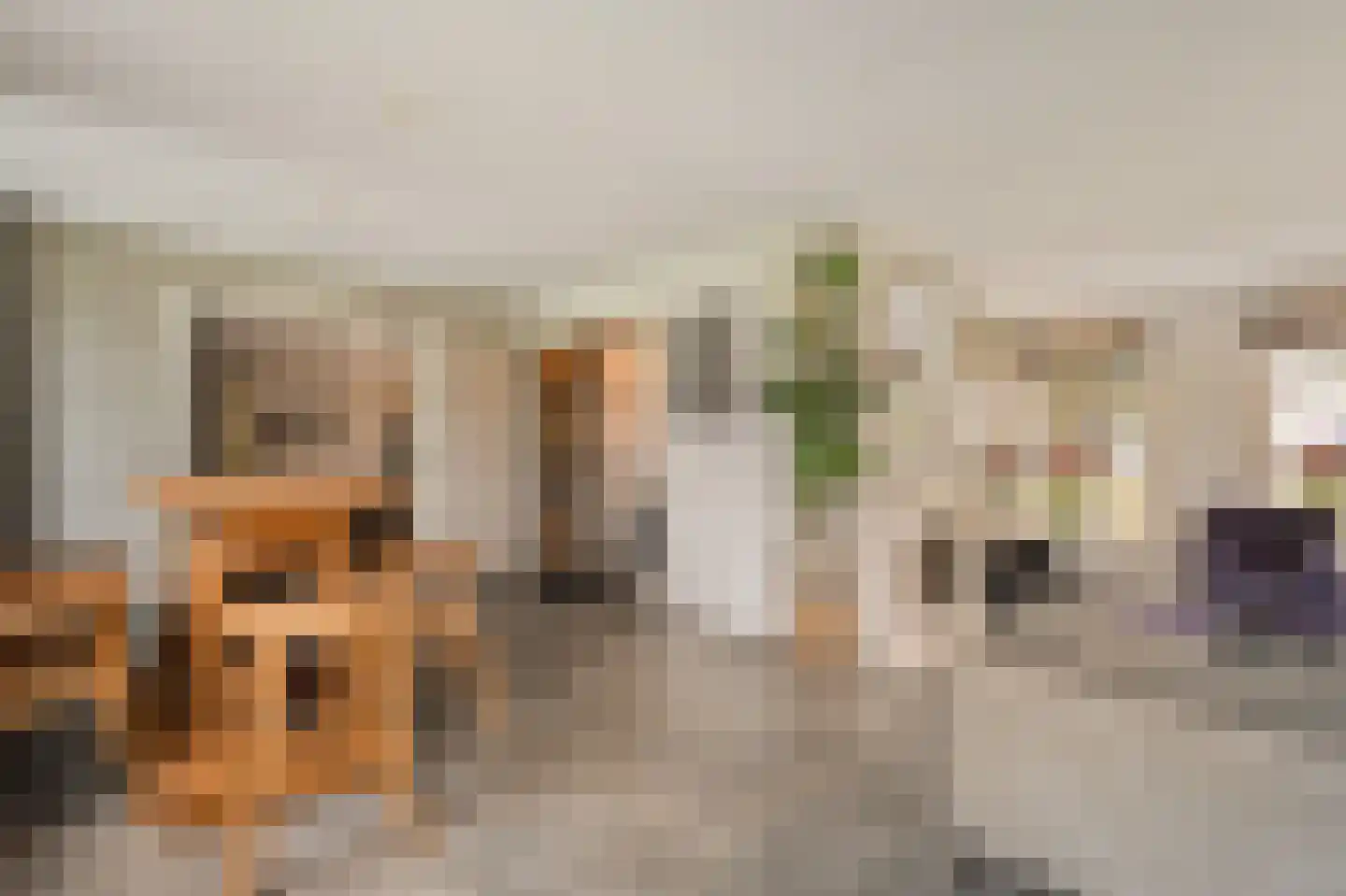 Van 't Hofflaan 10 Almelo thumbnail 25