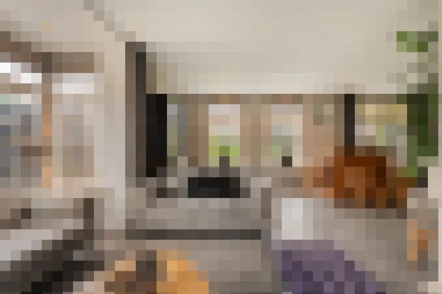 Van 't Hofflaan 10 Almelo thumbnail 27