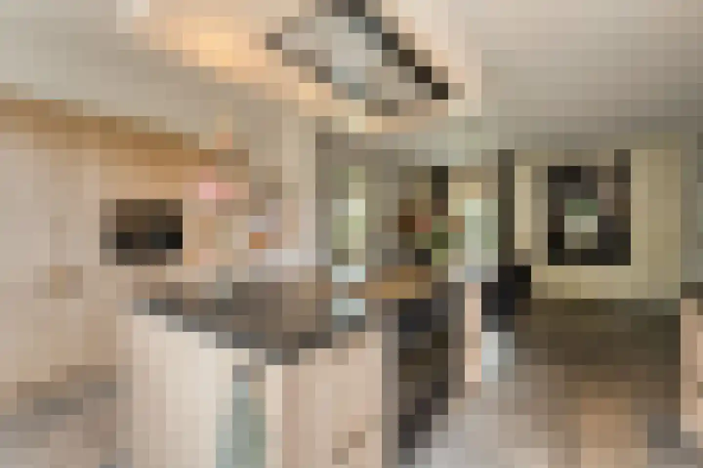 Van 't Hofflaan 10 Almelo thumbnail 31