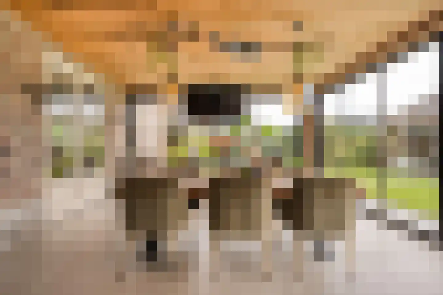 Van 't Hofflaan 10 Almelo thumbnail 36