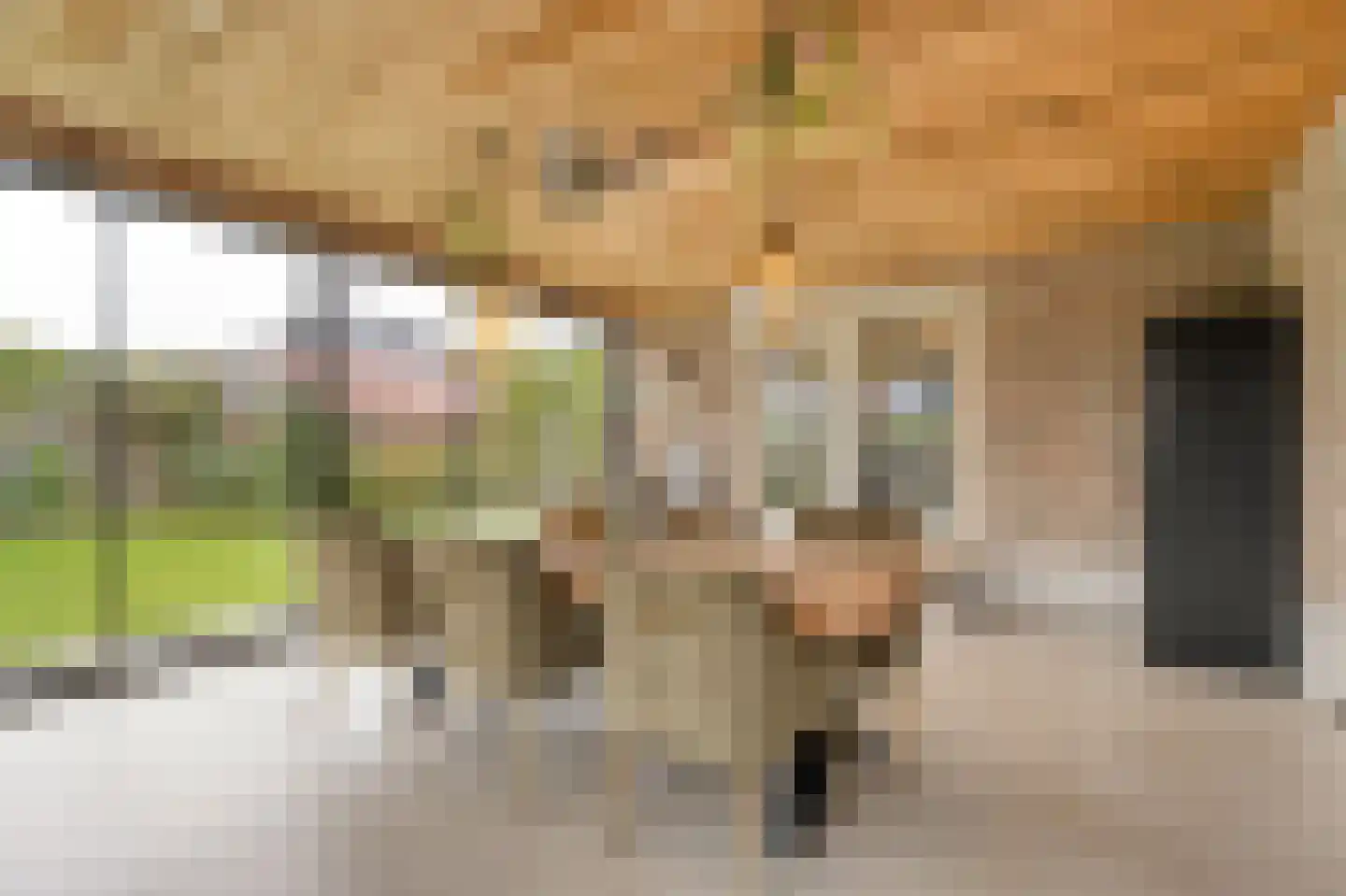 Van 't Hofflaan 10 Almelo thumbnail 37